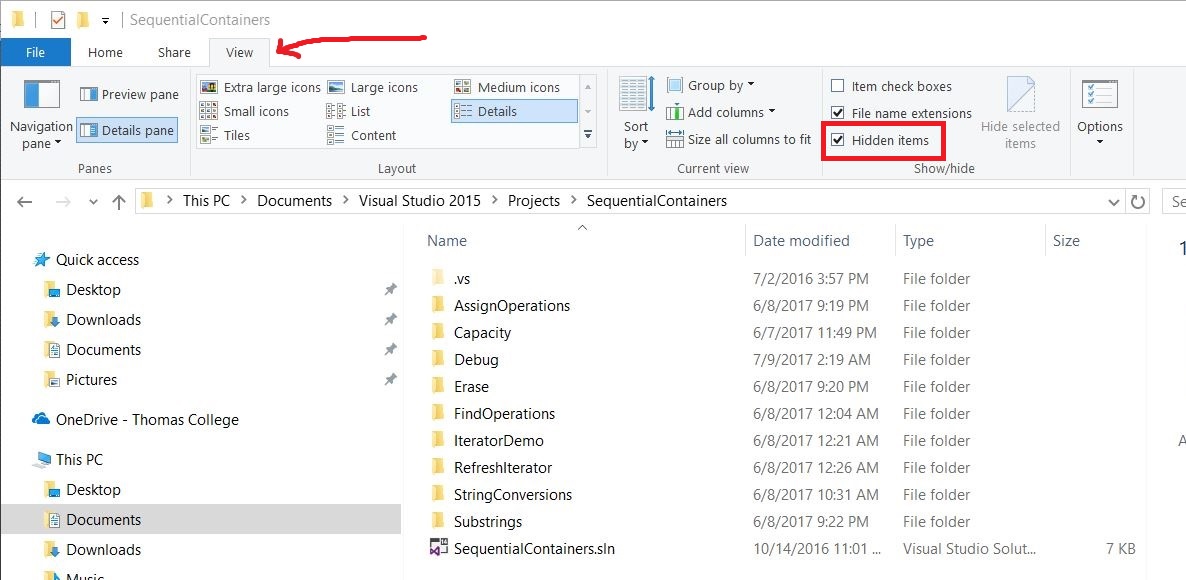 How to prevent or remove Visual Studio ipch/pch folders from the project